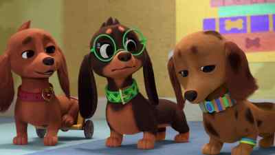 And in you go. - Pretzel and the Puppies