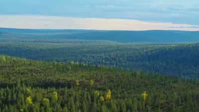 And in one special part of it,
they thrive. - Wild Nordic