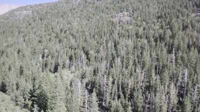 And in my opinion, I don't
really think that's correct. - Horror in the High Desert