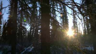 And in order to
do that, you know, - Life Below Zero: Next Generation