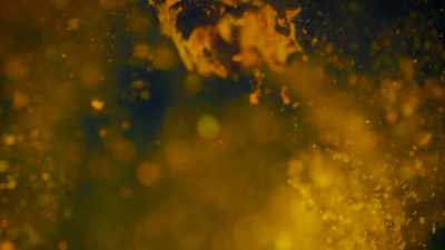 And in the future when
all human life has gone, - One Strange Rock