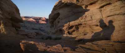 And in the natural world, - Alien Worlds