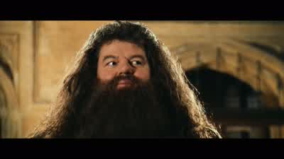 And ironically, because the blood was black... - Harry Potter and the Chamber of Secrets