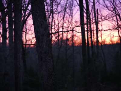 And this is a phenomenon
that it is not contained - American Werewolves