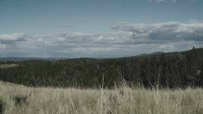 And this is an example - Missing 411: The Hunted