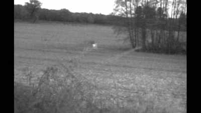 And this is an
infrared video frame - Truth Hunter