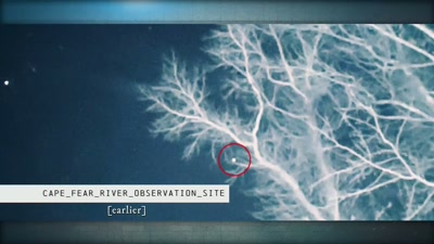 And this is it. I've been
putting out my thoughts - Beyond Skinwalker Ranch