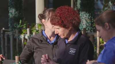 And she is, she's doing great. - Secrets of the Zoo