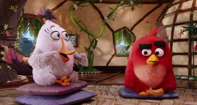 And this is Terence - The Angry Birds Movie