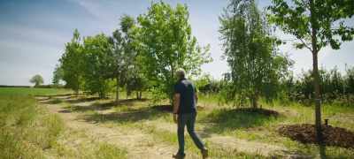 And this is what I've ended up
with, 20 new trees. - Clarkson's Farm