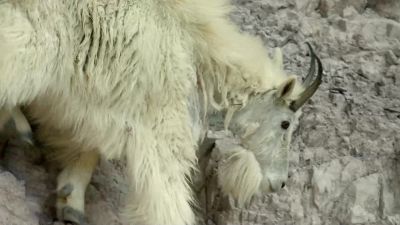 And this is what they've risked their lives for. - Hostile Planet