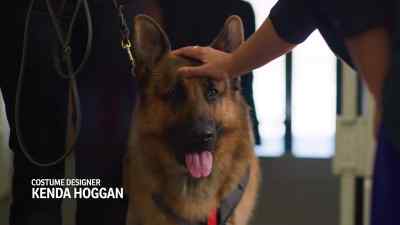 And is this your highly
trained crime detection dog? - Jazz Ramsey: A K-9 Mystery