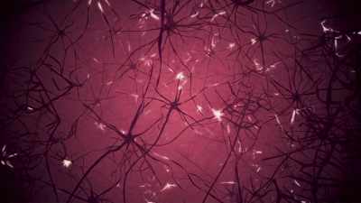  And it was a thought
 directly into my head that, - The Interdimensional Connection