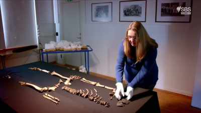 And it was an instant kill - Curse of the Ancients with Alice Roberts