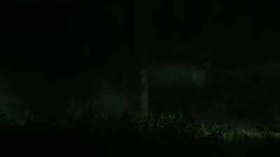 And it was dark.
There's no streetlights. - Alabama Snake