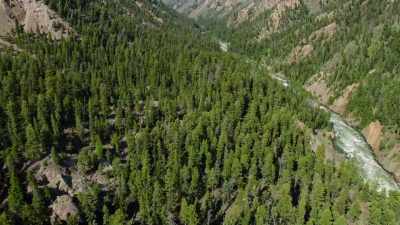 And as it drops in elevation,
it only grows stronger - Yellowstone: One-Fifty