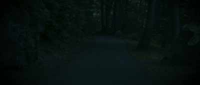 And it was probably 1987, '88, - The Mothman Legacy