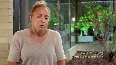 And it was really hard to get
through at 15, - The Woman Who Loves Giraffes