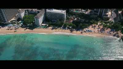 And it was scientifically
documented in study - Envoy: Shark Cull
