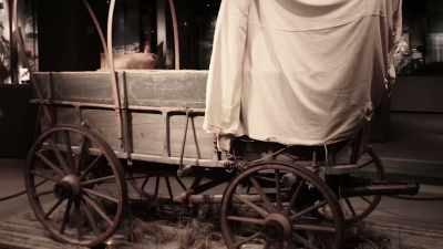And it had the
whole look and feel, - Shadow of a Wheel