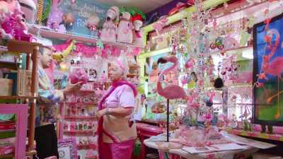 And it was very popular
in the '60s, - The Mystery of the Pink Flamingo