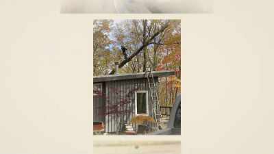 And it's all about
being outside here. - The Cabin Chronicles