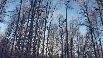 And so it's an Alaskan tradition - Life Below Zero: Next Generation