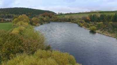 And it's barley that makes the malt - World's Most Scenic River Journeys