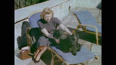 And it's been going on for millennia, - The Hitler Home Movies