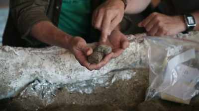 AND IT'S EXCITING TO TALK
TO SOMEBODY - Dino Hunters