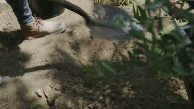 And it's gonna show.
I'm getting this yard - Help! I Wrecked My House