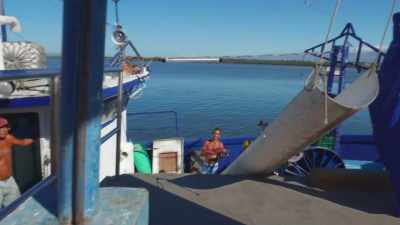And it's... Sharks
are being fished everywhere. - Sharkwater Extinction