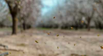 And it's the idea that
a registrant that wants -- - The Pollinators