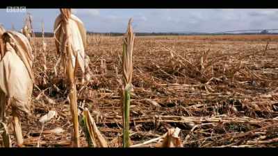 And it's threatening food
and water security. - Extinction: The Facts