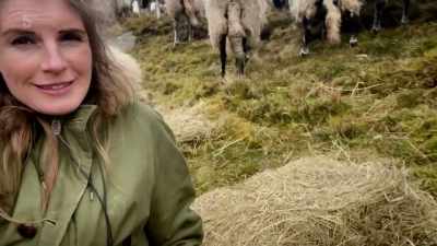 And I've brought them down here, - Our Yorkshire Farm