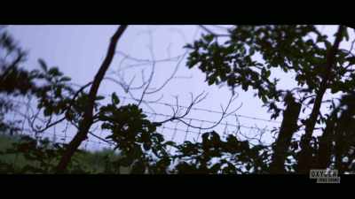  And jake tried to choke her. - The Pike County Murders: A Family Massacre