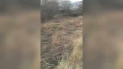 And Jason walked this way
towards Luling or whoever. - Never Seen Again