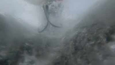 And my job is to find
the resources, otherwise, - Life Below Zero: Next Generation