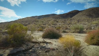 'And just a few yards away - A Year on Planet Earth