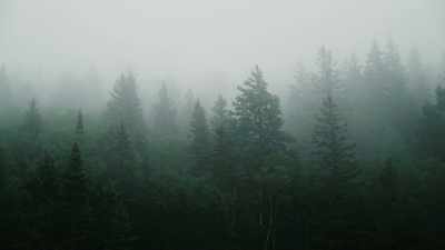 And just as he was
chasing the deer, - Missing 411: The Hunted
