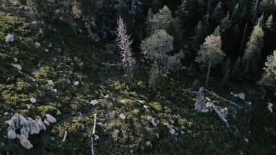 And just so people can get
some idea, - Missing 411: The Hunted