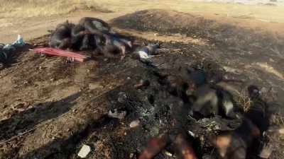And we just put all the bodies together, - Heval