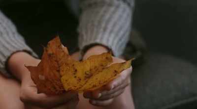 And you keep going until you can
say OK, this is Norway maple. - Marjorie Prime