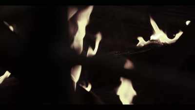 And killing anyone who took refuge. - Age of Samurai: Battle for Japan
