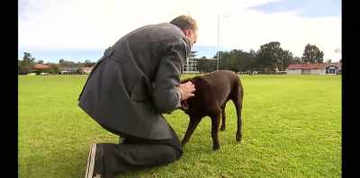 And we kind of knew
that the reason it did - Koko: A Red Dog Story