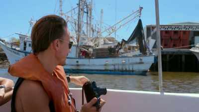 And, you know, a single pound
of fin is worth over $200 US. - Sharkwater Extinction