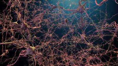 And we know that many other
neurotransmitters - Human: The World Within