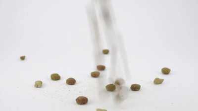 And we know that
asking cats to process
an entirely dehydrated food, - Pet Fooled