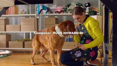 And you know what's even better? - Everything Puppies