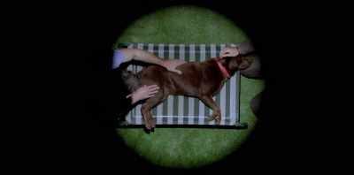 ..and Koko... - Koko: A Red Dog Story